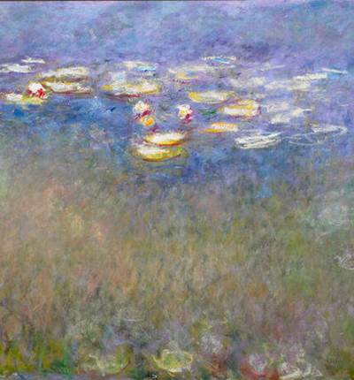 water-lilies-agapanthus