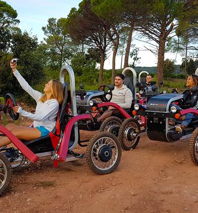 SWIN CAR FERME DES DELICES FOREZIENS BALLADE EN FORET