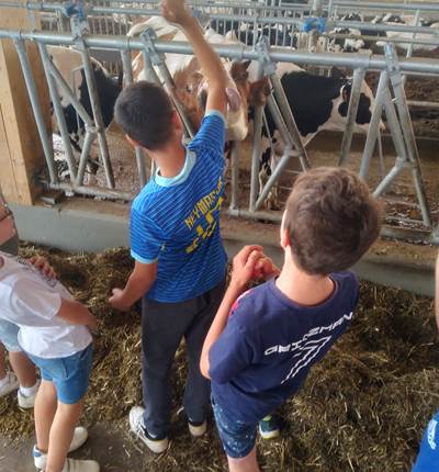 challenge fermier vache enfant