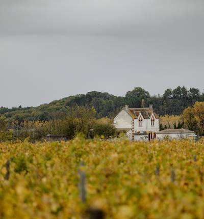 202211_Fre´de´ric-vieille-chapelle-32 - copie