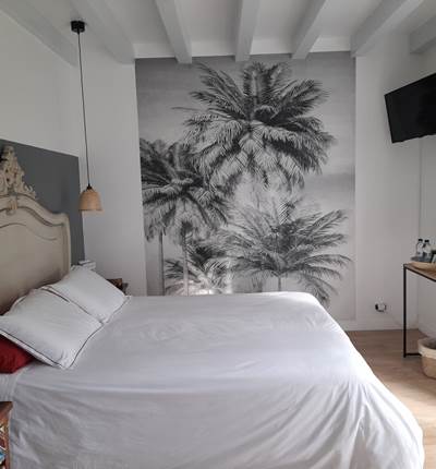 chambre Belharra