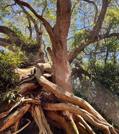 169250101_10222595560471906_8234604655372142927_n