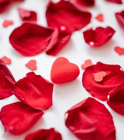 Pe´tales de roses a` la re´serve Stanislas