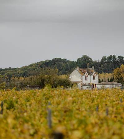 202211_Fre´de´ric-vieille-chapelle-32 - copie