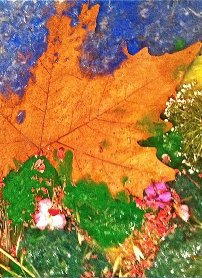 détail d'une grande feuille de papier végétal