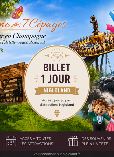 billet-1-jour