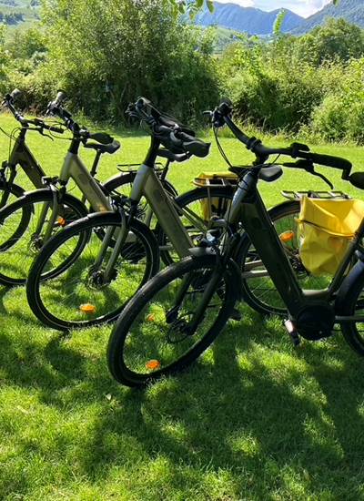 Vélos à assistance électrique