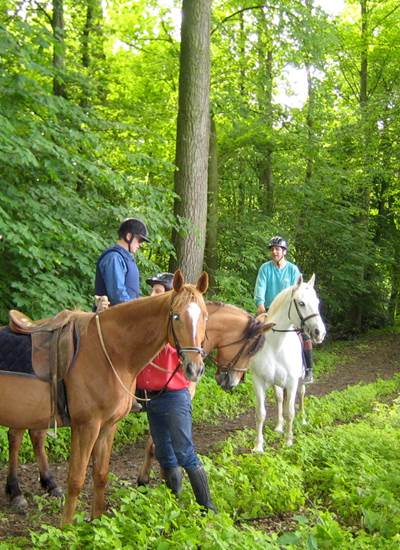 Allée Chevaux Behen