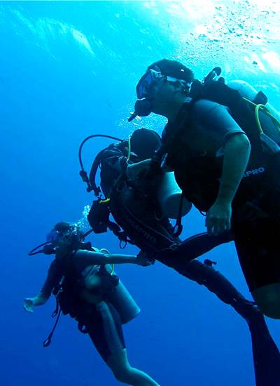 Diving elloha