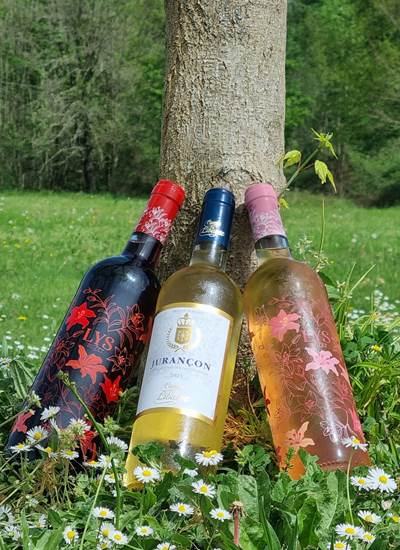 vins