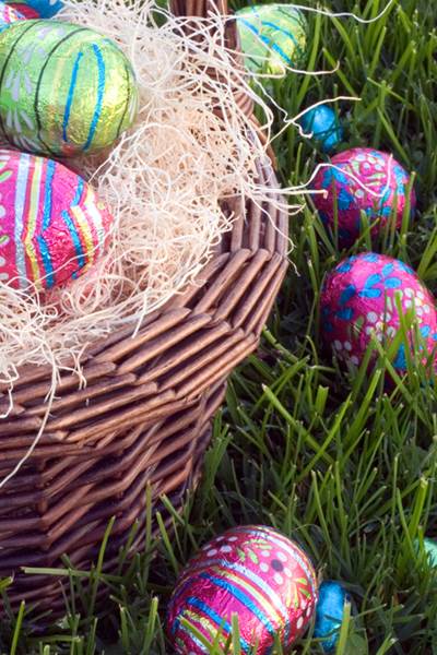 Chasse aux oeufs de Pâques