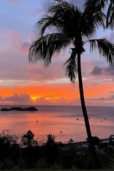 Coucher de soleil sur la Réserve Cousteau