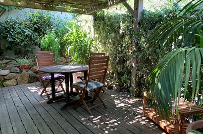 La terrasse est ombragée par une grande glycine