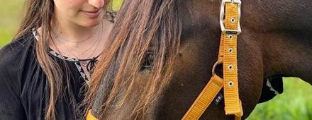 equitation