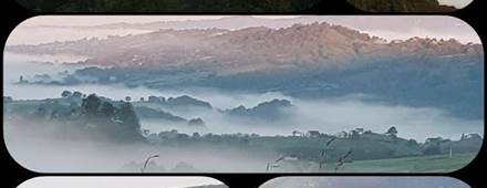 Les Paysages (1)