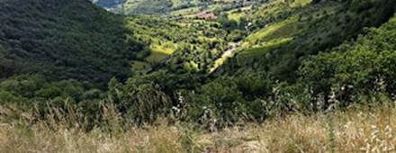 La Campagne environnante