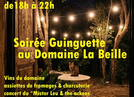 soirée guinguette