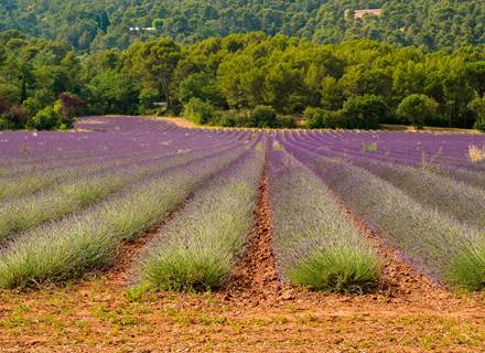 _DSC7323_DxO copie