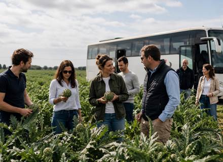 Visite champ d'artichaut Bretagne St Pol de Le´on 