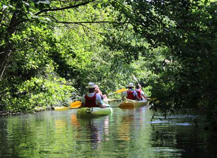 visite guidee en canoe sur l'Ancre