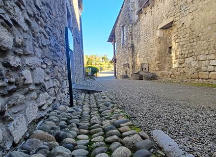 Le château de Lourdes