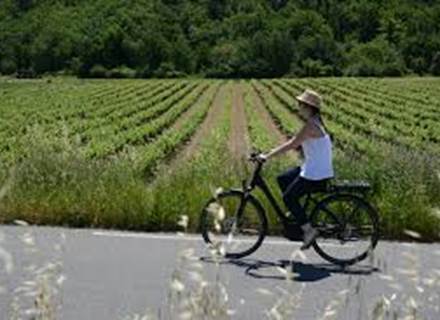 velo