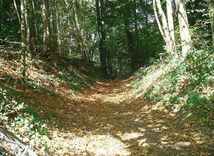 sortie nature sur le circuit pedestre le val d'omignon