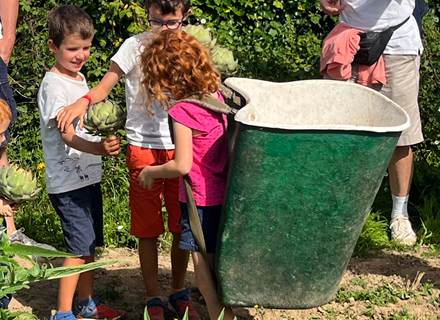 Ferme à visiter en famille près de Morlaix