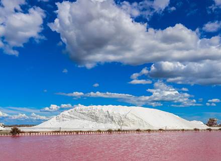 salins