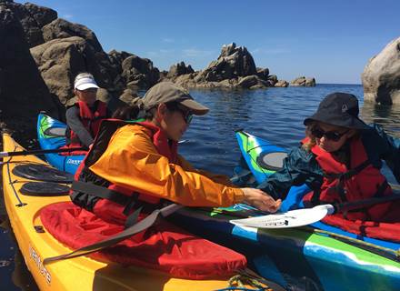 Abbartello kayak Corse environnement