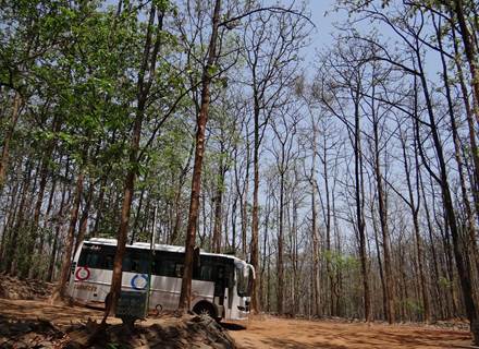 sarangib-bus-171836_1280