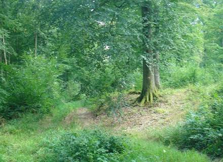 Caulaincourt Trefcon Tertry Cauvigny