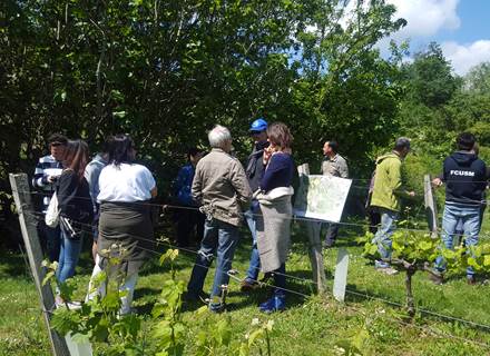 VISITE VIGNE