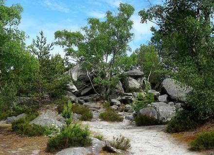 sentier en pleine nature