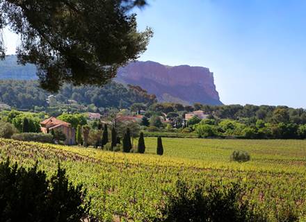 Vignoble Cassis - Youcamp Outdoor