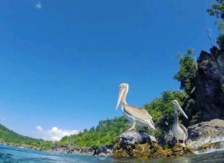 balade-privee-en-catamaran-baie-des-saintes
