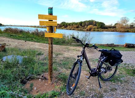 bord du canal