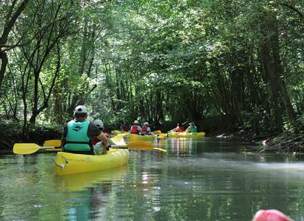 paddle, loisirs de pleine nature