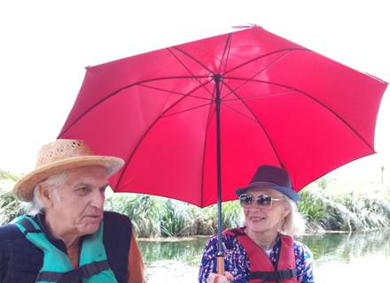guided tours just for you