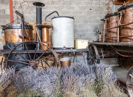 Alambics anciens exposés dans la distillerie