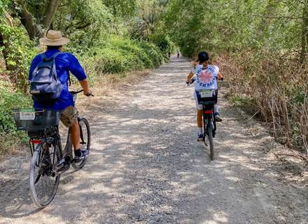 Randonne´e a` ve´lo e´lectrique en Camargue - Immersion au cœur de la nature