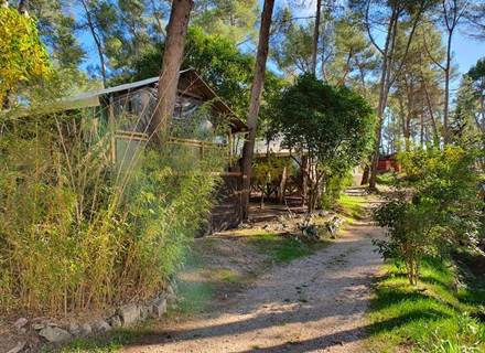 ECO LODGE GARLABAN