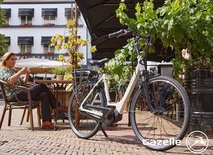 gazelle_stationsbees_cafe