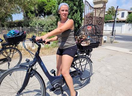 cliente-stations-bees-aigues-mortes