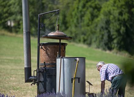 Distillation à l'ancienne