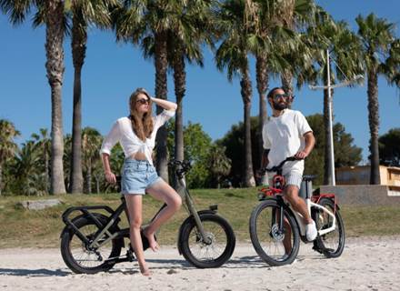 gitane_stationsbees_borddeplage