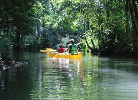 l'Hallue dans le val de Somme