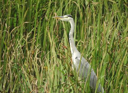 DSCN5577