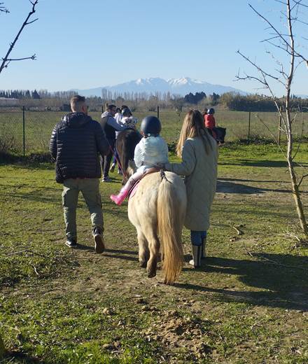 balade à poney Pyrénées-Orientales  promenade poney 66  activité enfant Pyrénées-Orientales  poney club 66  centre équestre Pyrénées-Orientales  balade à cheval 66  activité famille Pyrénées-Orientales  équitation enfant 66  balade à poney près de Perpignan  balade à poney bompas, claira, toreilles, barcares, canet en roussillon, sainte marie, Thuir, Pézilla, elne, cabestany, rivesaltes, saint estève