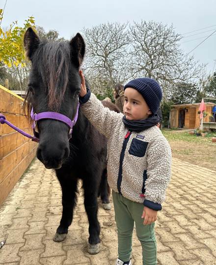 balade à poney Pyrénées-Orientales  promenade poney 66  activité enfant Pyrénées-Orientales  poney club 66  centre équestre Pyrénées-Orientales  balade à cheval 66  activité famille Pyrénées-Orientales  équitation enfant 66  balade à poney près de Perpignan  balade à poney bompas, claira, toreilles, barcares, canet en roussillon, sainte marie, Thuir, Pézilla, elne, cabestany, rivesaltes, saint estève